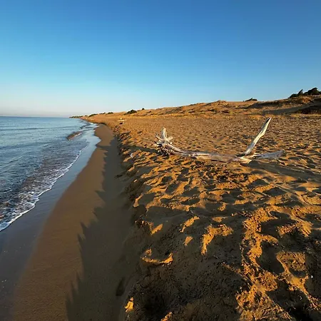 Willa Drosoula House *