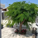 Drosoula House